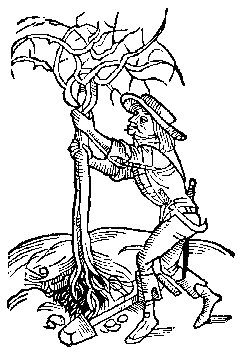 Medieval man planting a tree